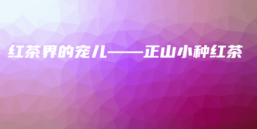 紅茶界的寵兒——正山小種紅茶插圖