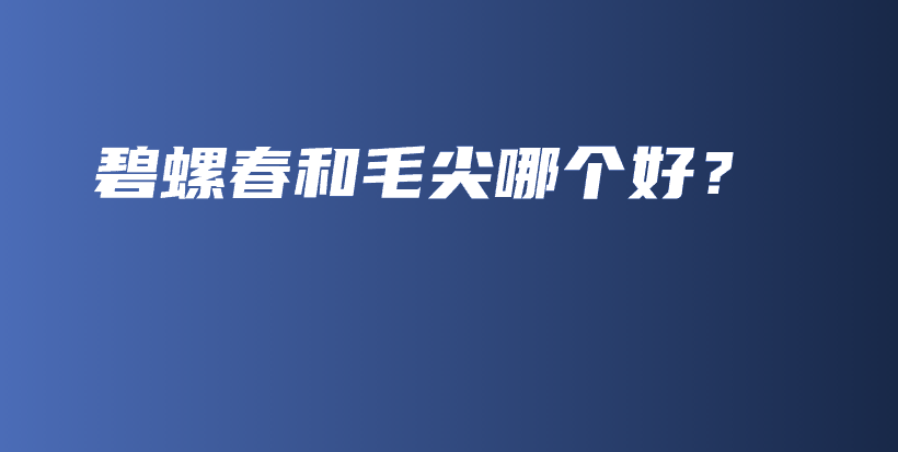 碧螺春和毛尖哪個好？插圖