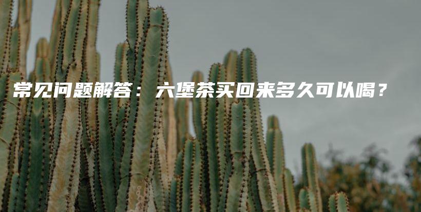 常見問題解答：六堡茶買回來多久可以喝？插圖