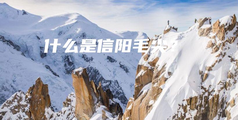 什么是信陽毛尖？插圖
