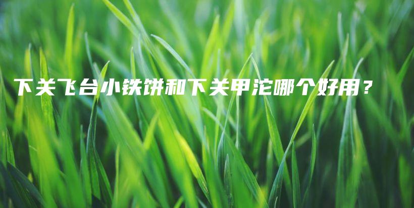 下關(guān)飛臺小鐵餅和下關(guān)甲沱哪個好用？插圖