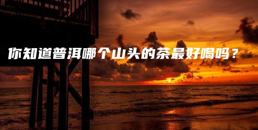 你知道普洱哪個(gè)山頭的茶最好喝嗎？插圖
