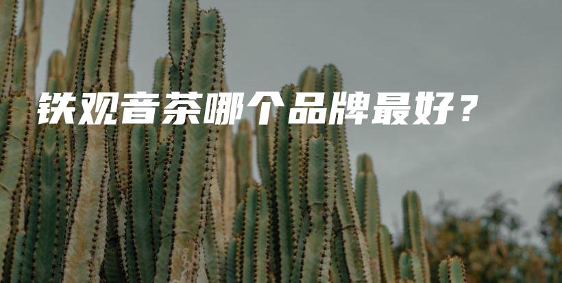 鐵觀音茶哪個品牌最好？插圖