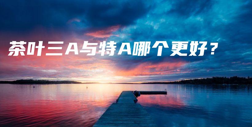 茶葉三A與特A哪個(gè)更好？插圖