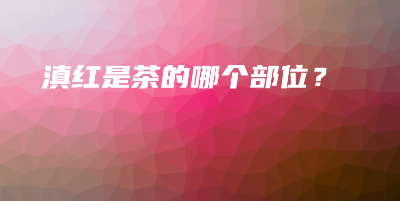 滇紅是茶的哪個(gè)部位？插圖