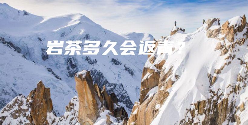 巖茶多久會(huì)返青？插圖