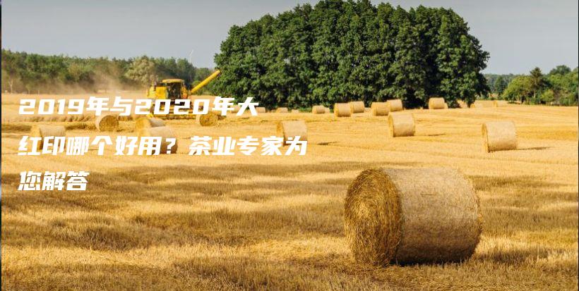 2019年與2020年大紅印哪個(gè)好用？茶業(yè)專家為您解答插圖