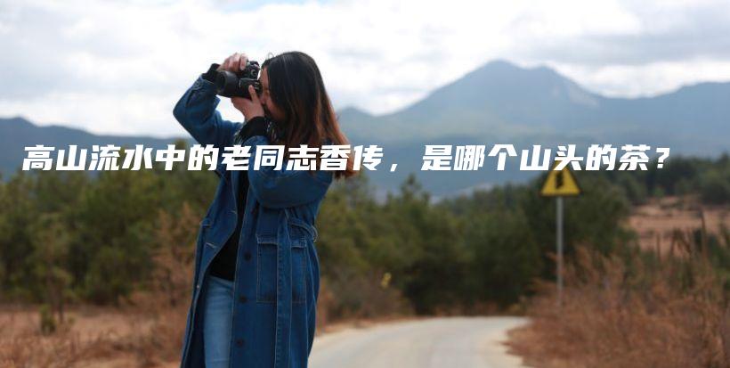 高山流水中的老同志香傳，是哪個(gè)山頭的茶？插圖