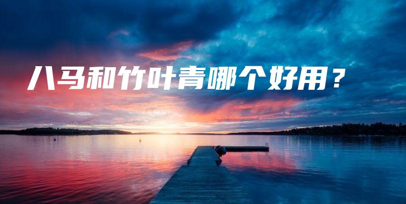 八馬和竹葉青哪個(gè)好用？插圖
