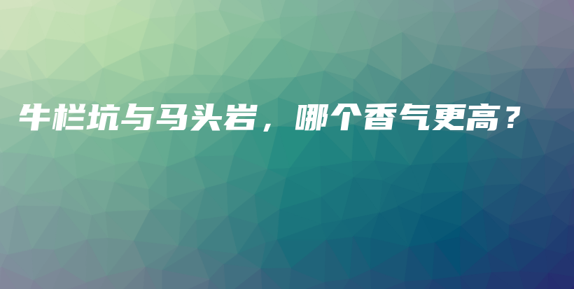 牛欄坑與馬頭巖，哪個香氣更高？插圖
