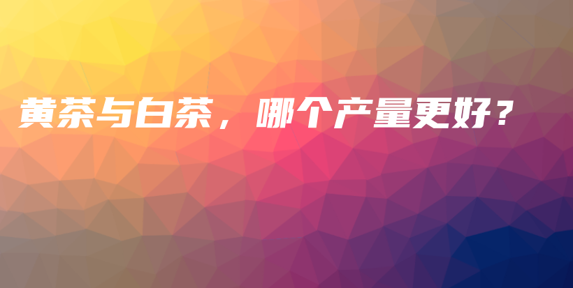 黃茶與白茶，哪個(gè)產(chǎn)量更好？插圖