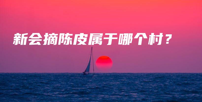 新會摘陳皮屬于哪個村？插圖