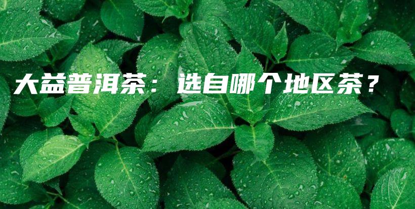 大益普洱茶：選自哪個(gè)地區(qū)茶？插圖