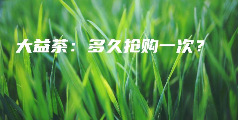 大益茶：多久搶購一次？插圖