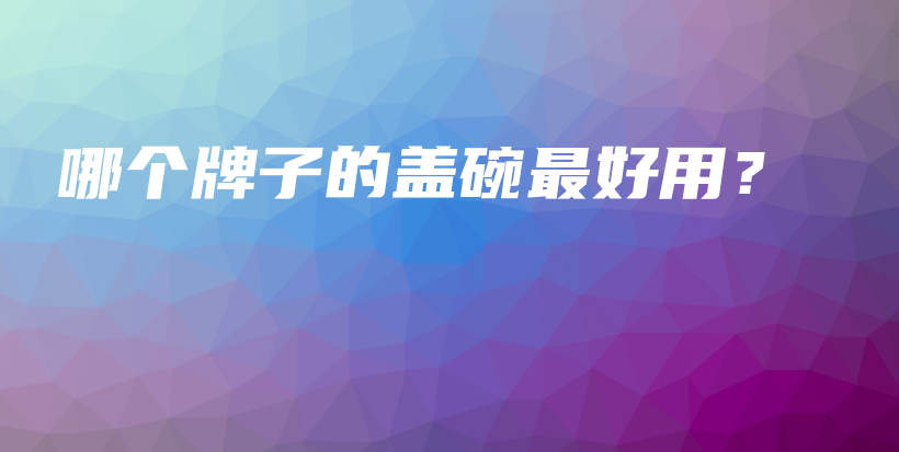 哪個(gè)牌子的蓋碗最好用？插圖