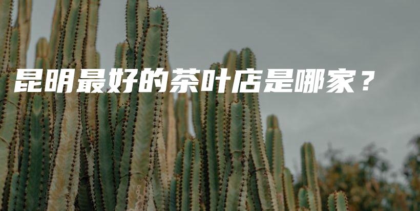 昆明最好的茶葉店是哪家？插圖