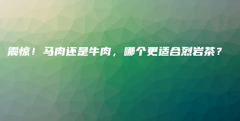 震驚！馬肉還是牛肉，哪個更適合烈?guī)r茶？插圖