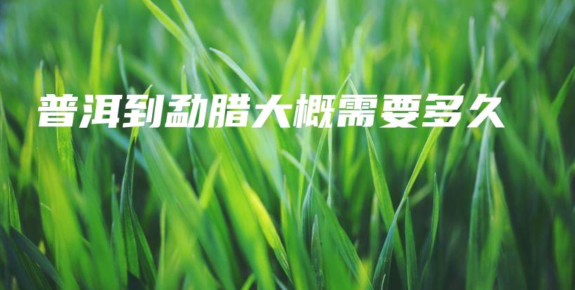 普洱到勐臘大概需要多久插圖