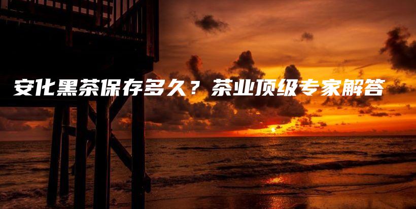 安化黑茶保存多久？茶業(yè)頂級專家解答插圖