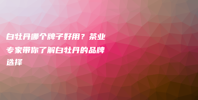 白牡丹哪個(gè)牌子好用？茶業(yè)專家?guī)懔私獍啄档さ钠放七x擇插圖