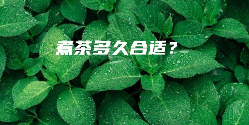 煮茶多久合適？插圖