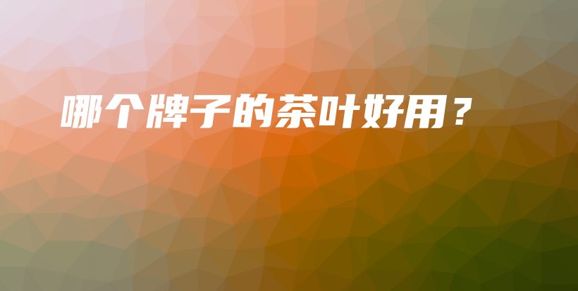 哪個(gè)牌子的茶葉好用？插圖