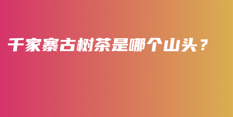 千家寨古樹(shù)茶是哪個(gè)山頭？插圖