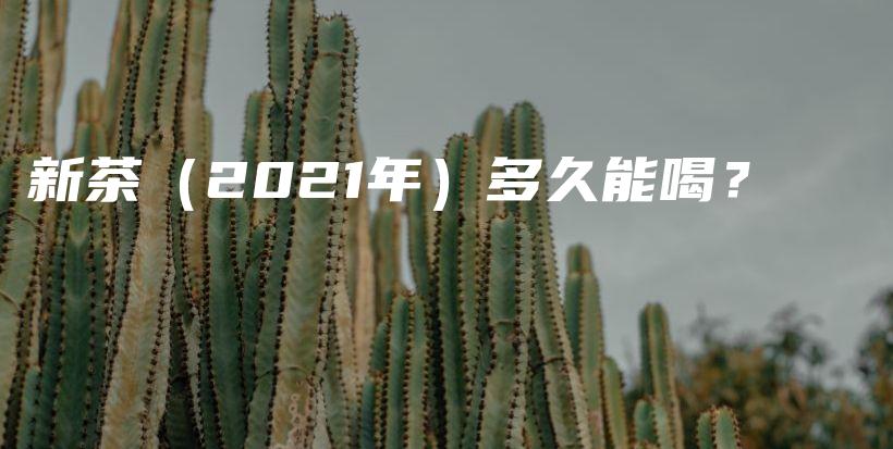 新茶（2021年）多久能喝？插圖