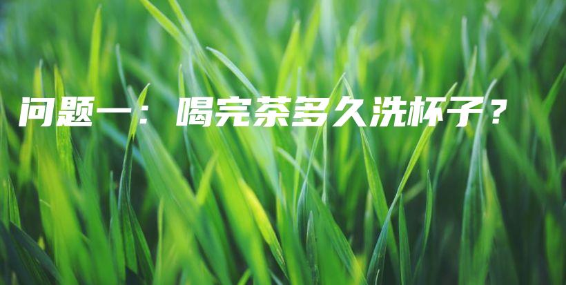問題一：喝完茶多久洗杯子？插圖