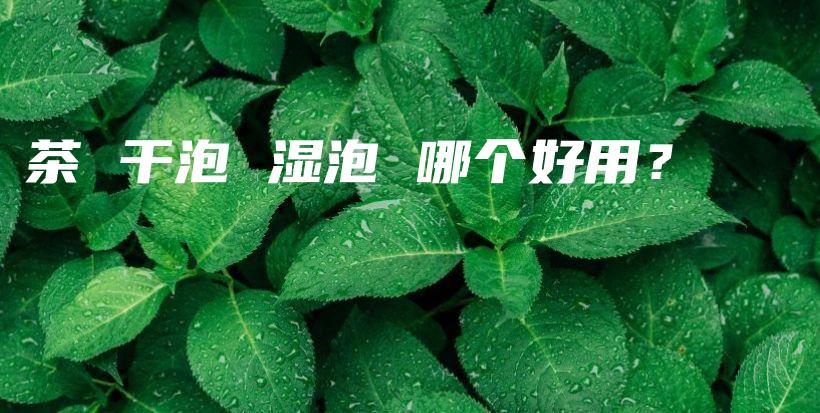 茶 干泡 濕泡 哪個(gè)好用？插圖