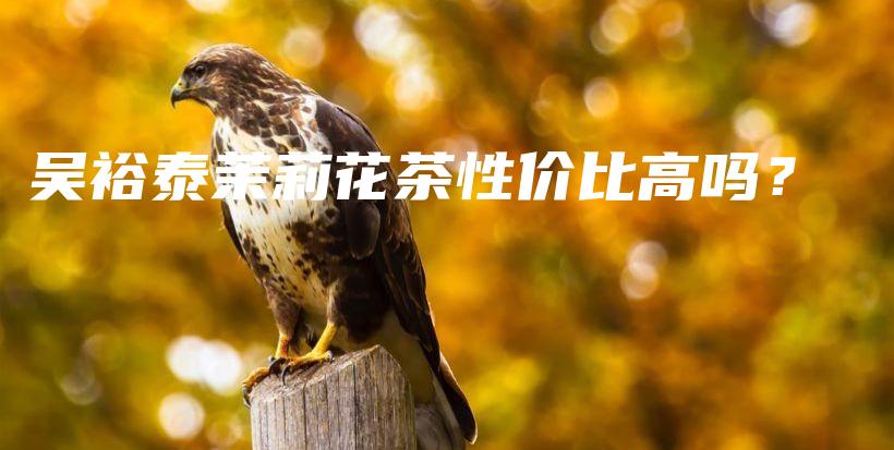 吳裕泰茉莉花茶性價比高嗎？插圖