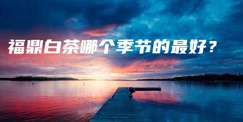 福鼎白茶哪個(gè)季節(jié)的最好？插圖