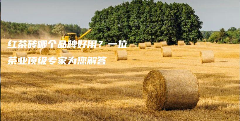 紅茶磚哪個品牌好用？一位茶業(yè)頂級專家為您解答插圖