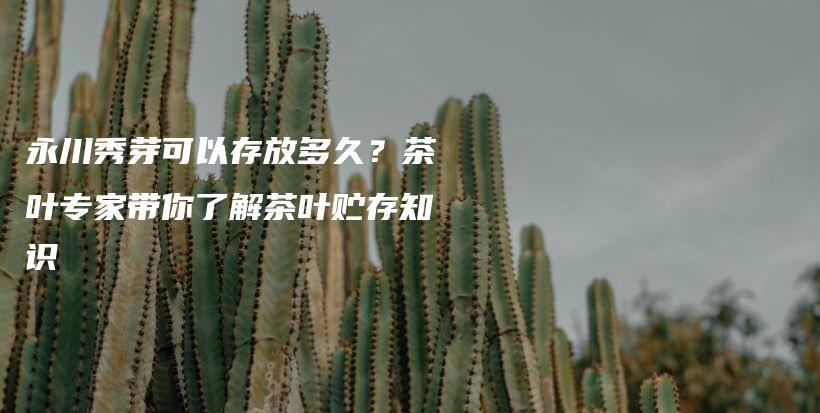 永川秀芽可以存放多久？茶葉專家?guī)懔私獠枞~貯存知識(shí)插圖