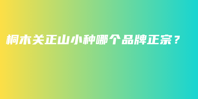 桐木關(guān)正山小種哪個品牌正宗？插圖