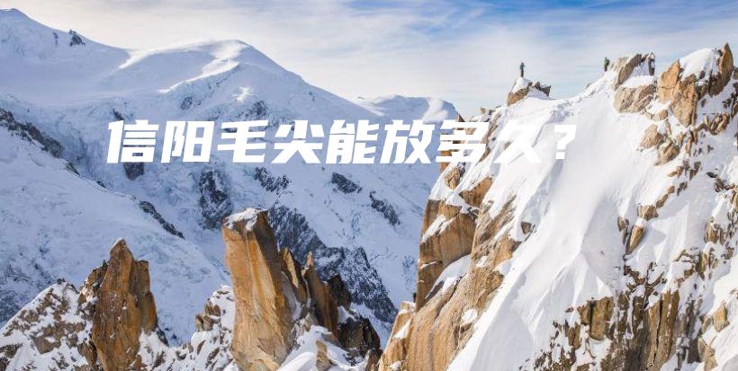 信陽毛尖能放多久？插圖