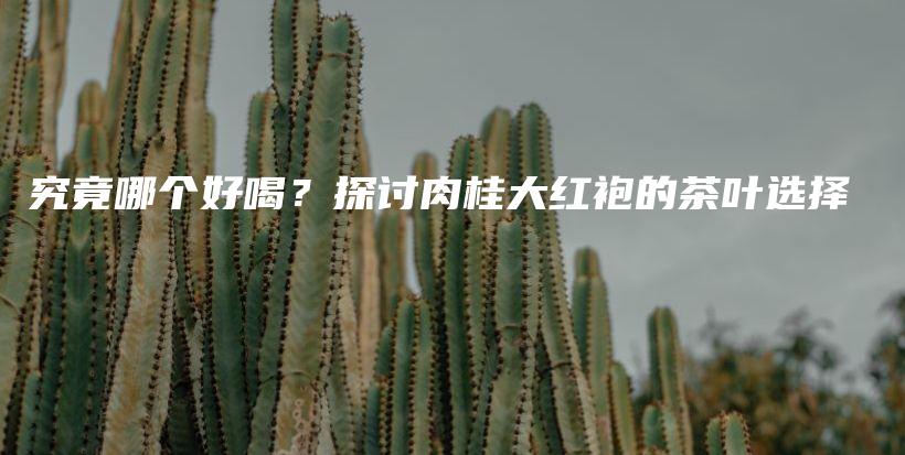 究竟哪個(gè)好喝？探討肉桂大紅袍的茶葉選擇插圖