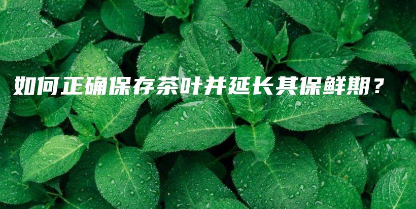如何正確保存茶葉并延長(zhǎng)其保鮮期？插圖