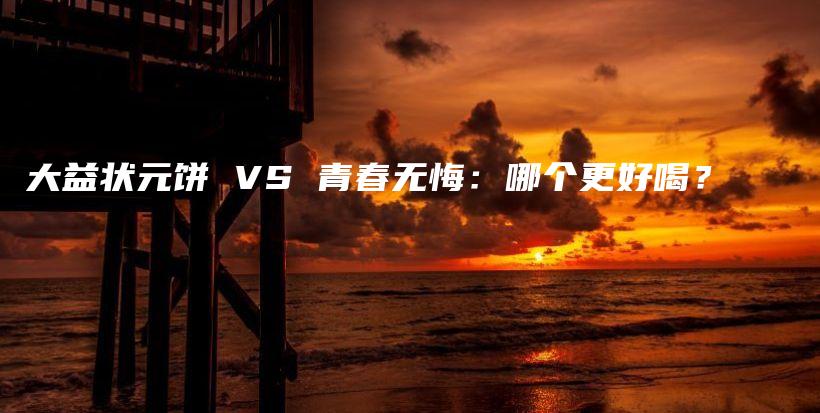 大益狀元餅 VS 青春無(wú)悔：哪個(gè)更好喝？插圖