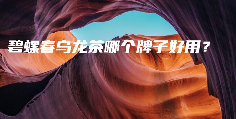 碧螺春烏龍茶哪個(gè)牌子好用？插圖