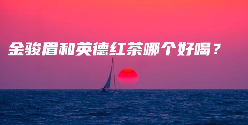 金駿眉和英德紅茶哪個(gè)好喝？插圖