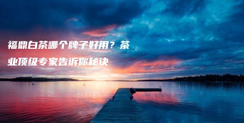 福鼎白茶哪個牌子好用？茶業(yè)頂級專家告訴你秘訣插圖