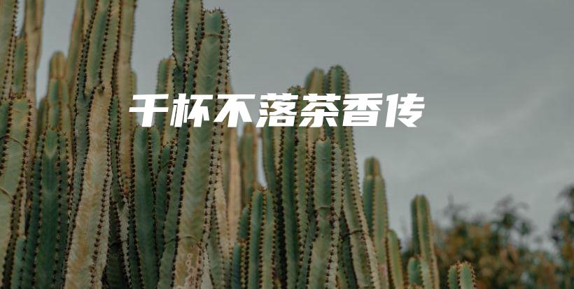 千杯不落茶香傳插圖