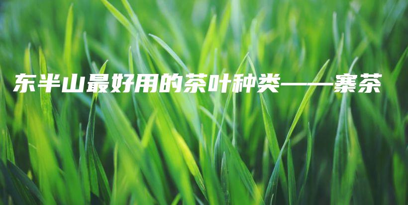 東半山最好用的茶葉種類——寨茶插圖