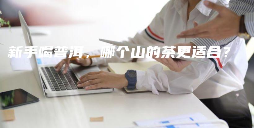 新手喝普洱，哪個山的茶更適合？插圖