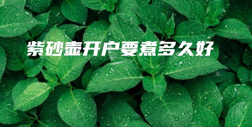 紫砂壺開戶要煮多久好插圖