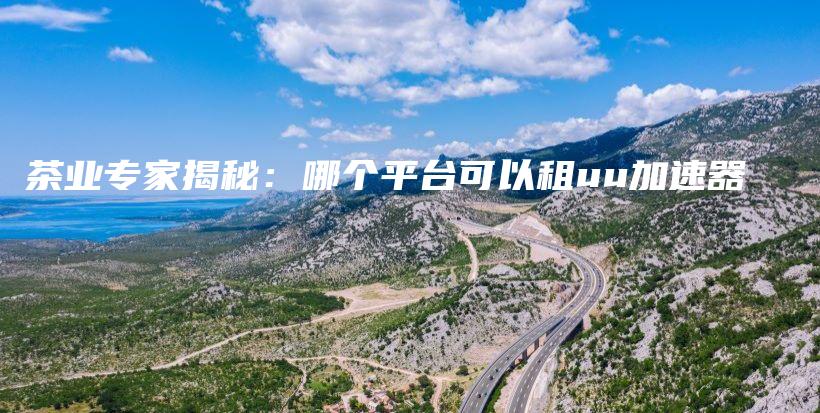 茶業(yè)專家揭秘：哪個(gè)平臺(tái)可以租uu加速器插圖