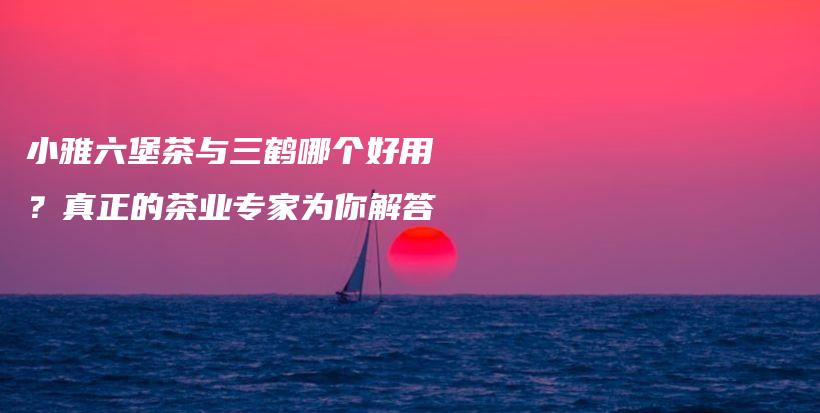 小雅六堡茶與三鶴哪個好用？真正的茶業(yè)專家為你解答插圖