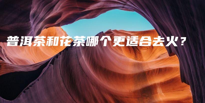 普洱茶和花茶哪個(gè)更適合去火？插圖