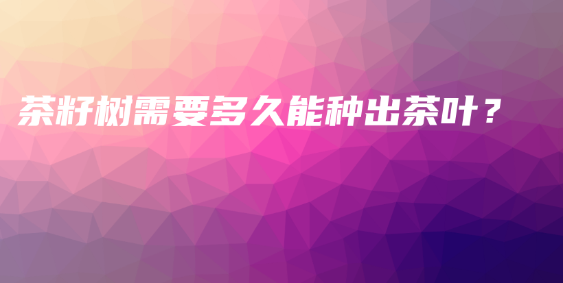茶籽樹(shù)需要多久能種出茶葉？插圖